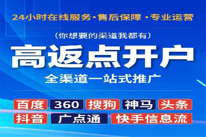 不同平台的SEM广告投放比较及成功案例分析