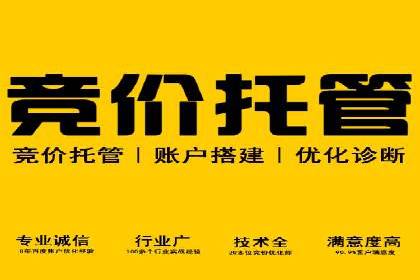 某某SEM公司：一则关于搜索引擎营销的经典成功案例